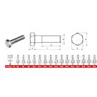 Hatlapfejű csavar, részmenetes, 8.8, Horganyzott, M 12x140
