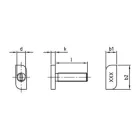 Solar kalapácsfejű csavar, A2,rozsdamentes 8x30